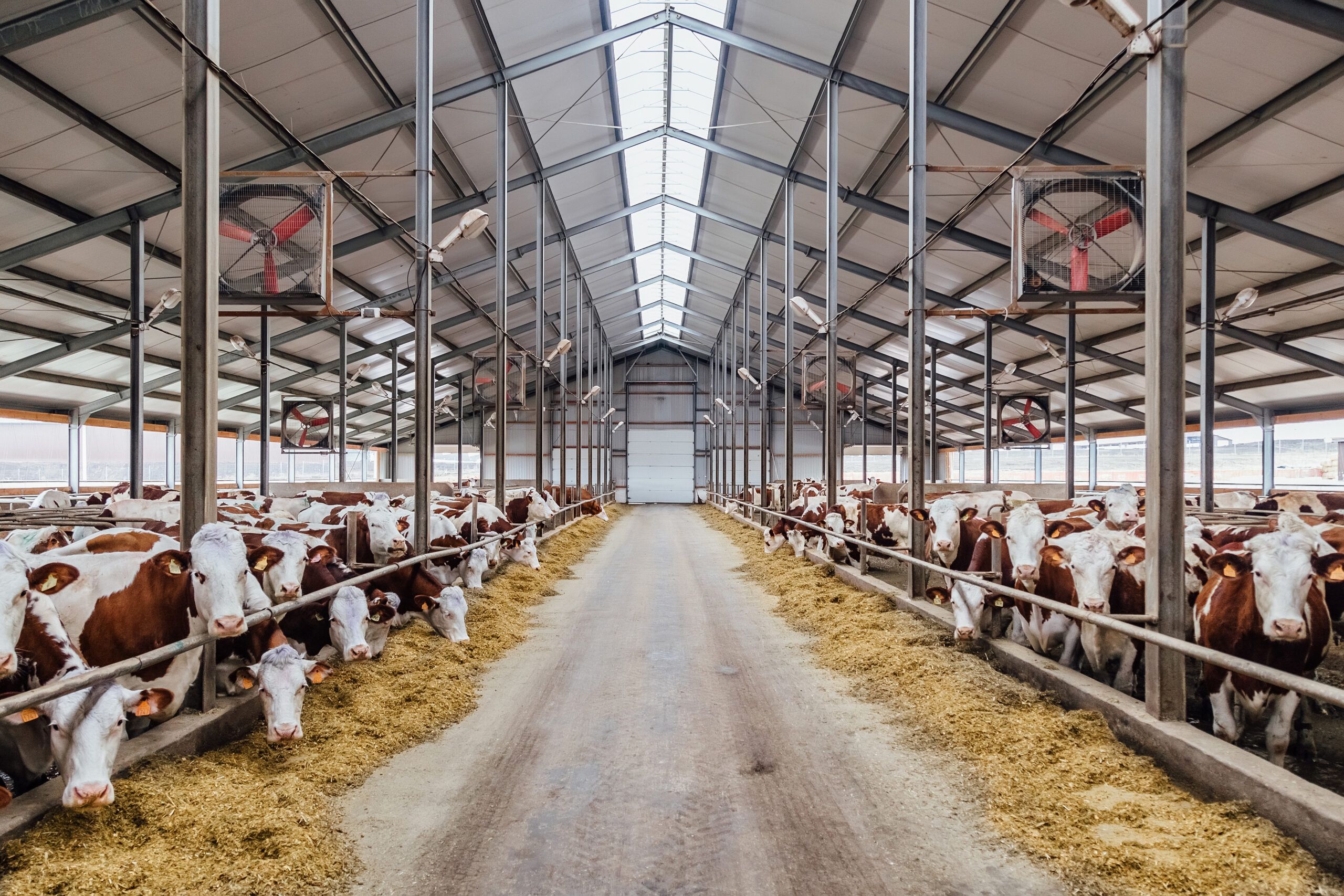 Livestock Tracking