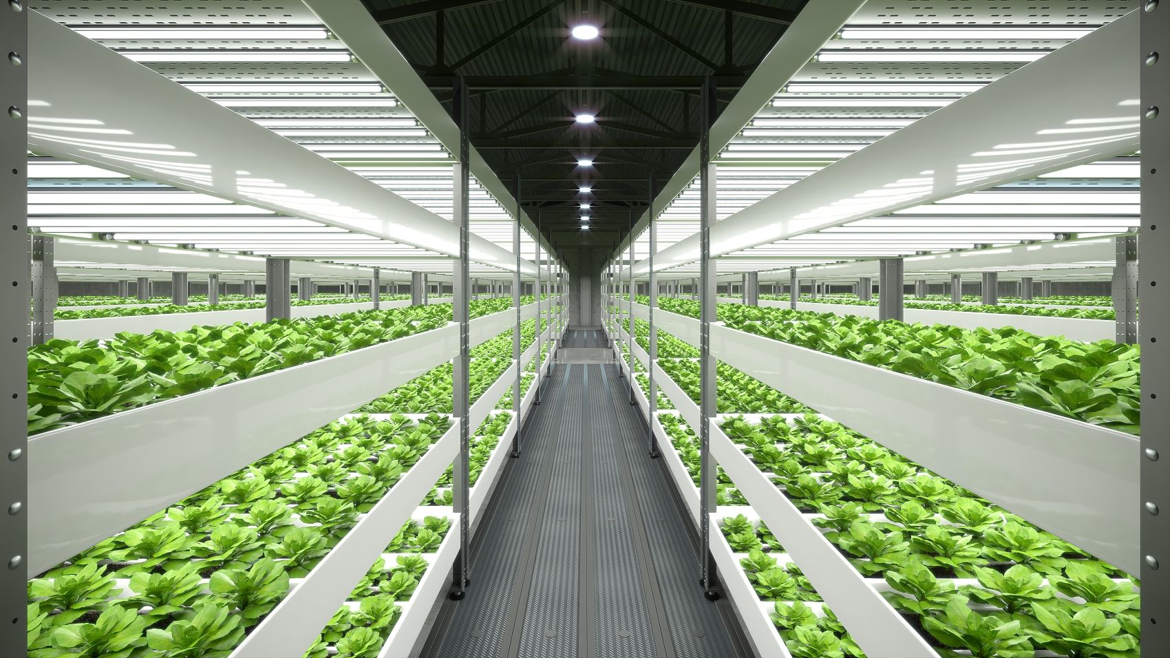 Smart Greenhouse