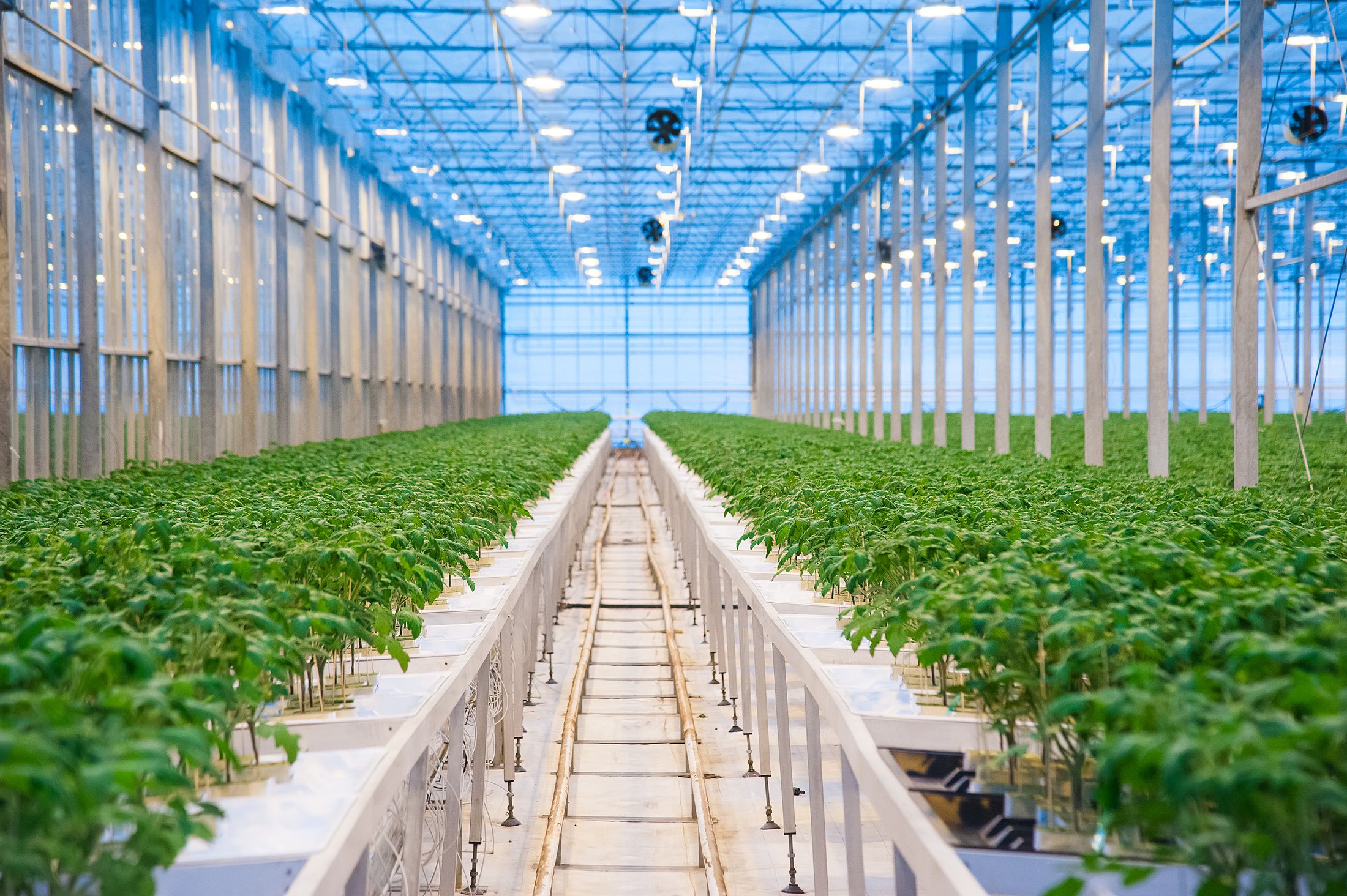 Commercial Greenhouse — Climate Control & E-ink Batch Labels